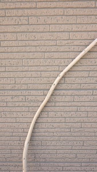 画像3: 棒流木 (3)