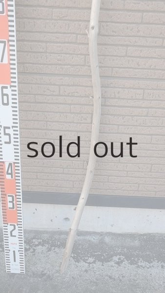 画像6: 棒流木・長尺 (6)