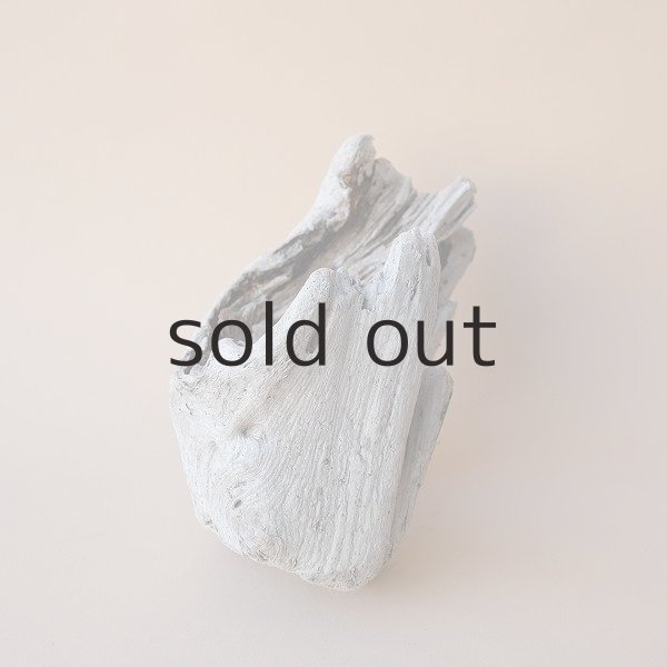 画像2: 変形流木 (2)