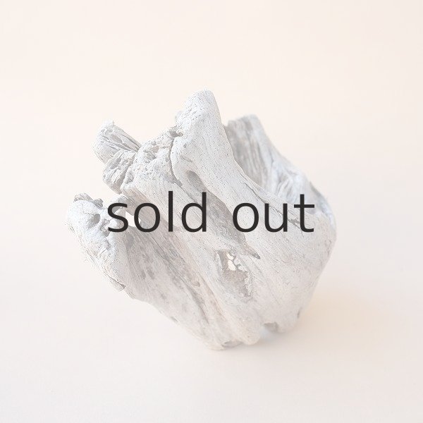 画像3: 変形流木 (3)