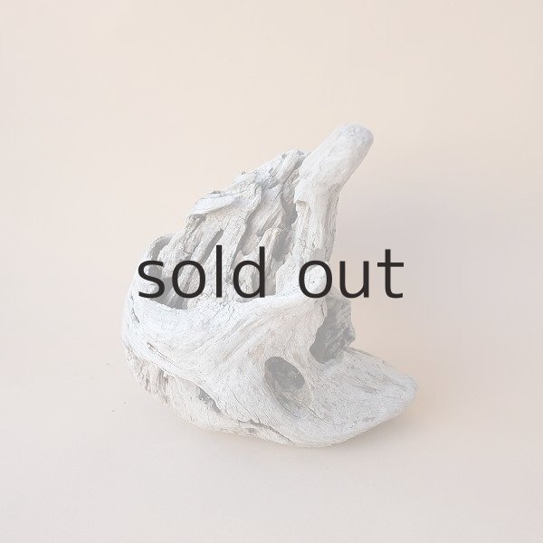 画像3: 変形流木 (3)