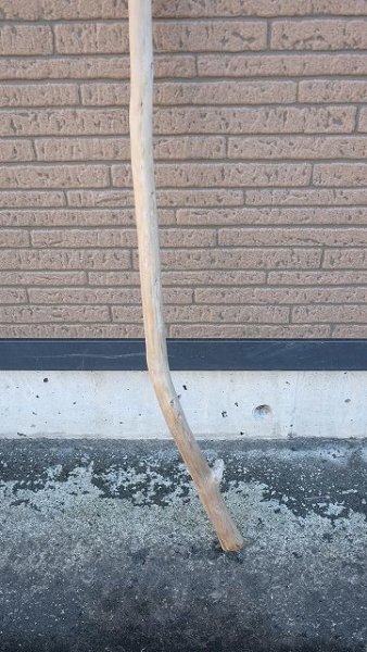 画像2: 棒流木 (2)