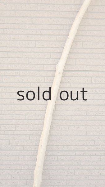 画像3: 棒流木・長尺 (3)