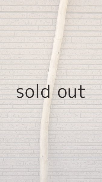 画像3: 棒流木・長尺 (3)