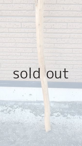 画像2: 棒流木・長尺 (2)