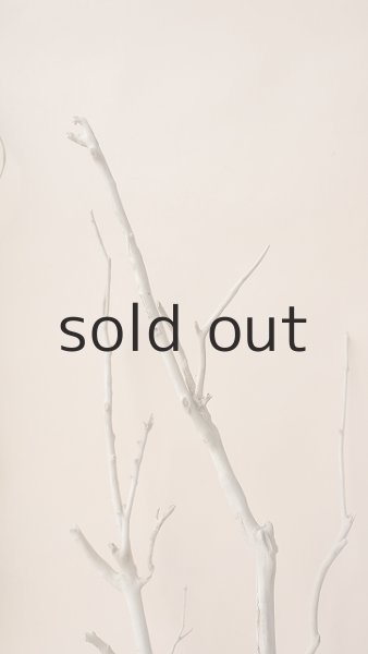 画像5: 枝流木 (5)