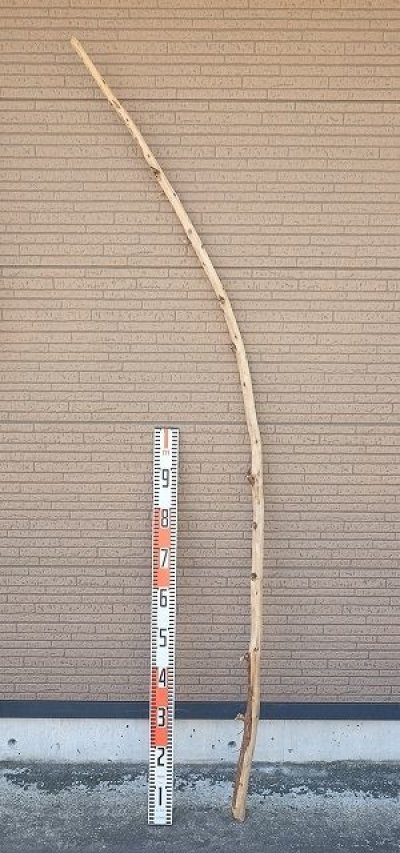画像3: 棒流木・長尺