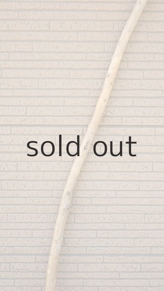 画像3: 棒流木・長尺 (3)