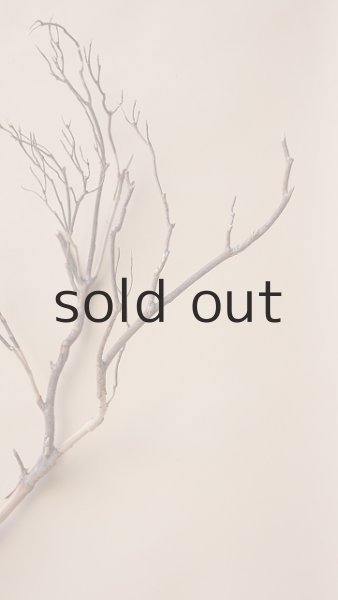 画像5: 枝流木 (5)