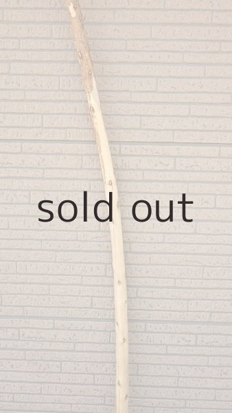 画像3: 棒流木・長尺 (3)