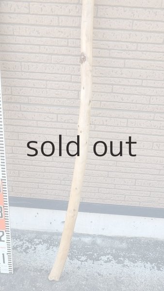 画像5: 棒流木・長尺 (5)