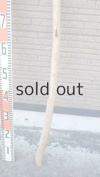 画像5: 棒流木・長尺 (5)