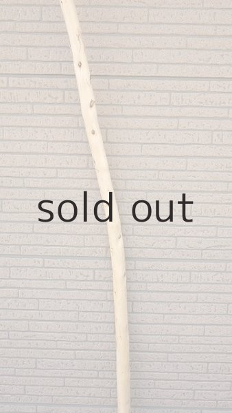 画像3: 棒流木 (3)