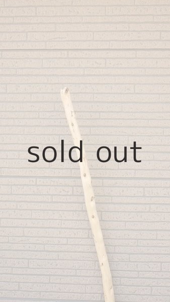 画像4: 棒流木 (4)