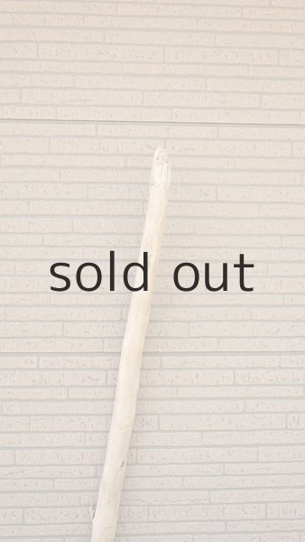 画像4: 棒流木・長尺 (4)