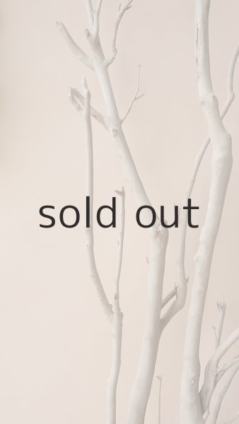 画像3: 枝流木 (3)