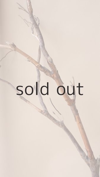 画像7: 枝流木 (7)