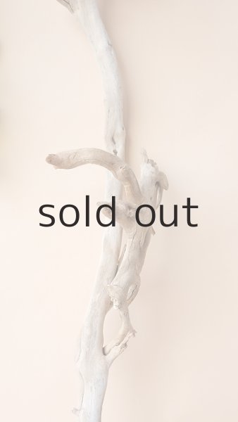 画像3: 枝流木 (3)