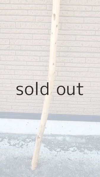 画像2: 棒流木・長尺 (2)