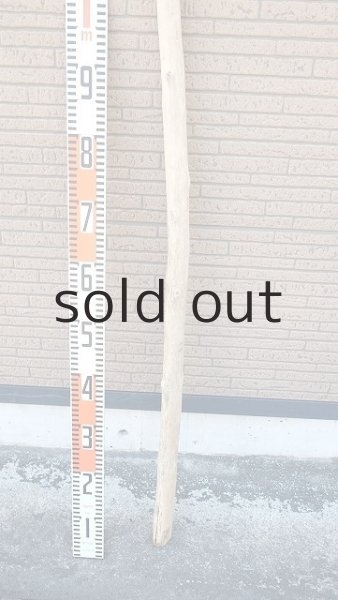 画像5: 棒流木・長尺 (5)