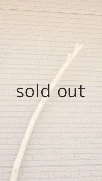 画像4: 棒流木・長尺 (4)