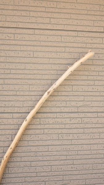 画像4: 棒流木 (4)