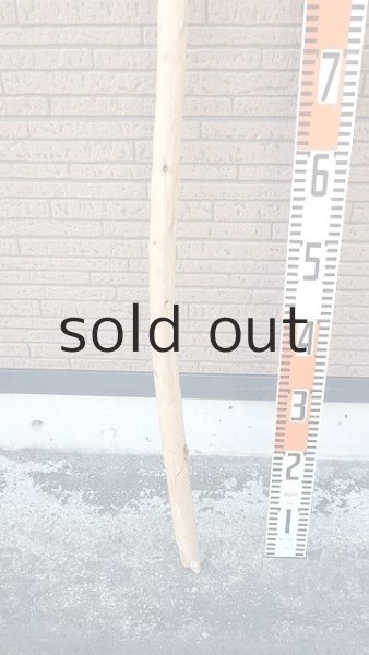 画像5: 棒流木・長尺 (5)