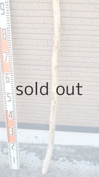 画像5: 棒流木・長尺 (5)