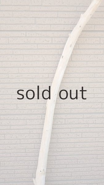 画像3: 棒流木 (3)