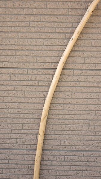 画像3: 棒流木・長尺 (3)