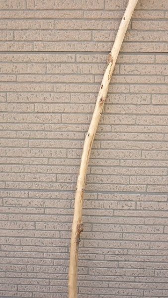 画像3: 棒流木・長尺 (3)