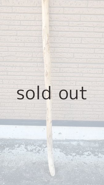 画像2: 棒流木・長尺 (2)