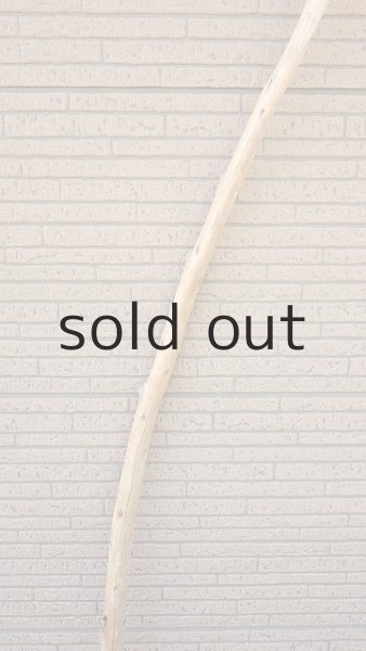 画像3: 棒流木・長尺 (3)