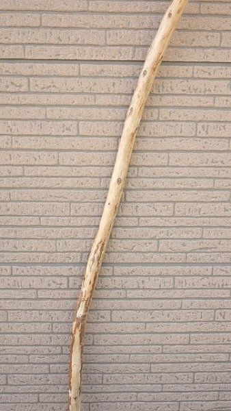 画像3: 棒流木・長尺 (3)