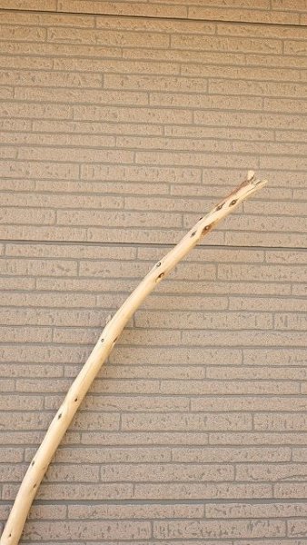 画像4: 棒流木・長尺 (4)