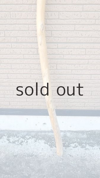 画像2: 棒流木・長尺 (2)