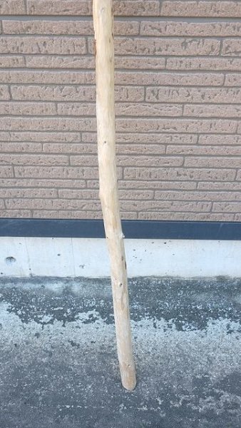 画像2: 棒流木・長尺 (2)