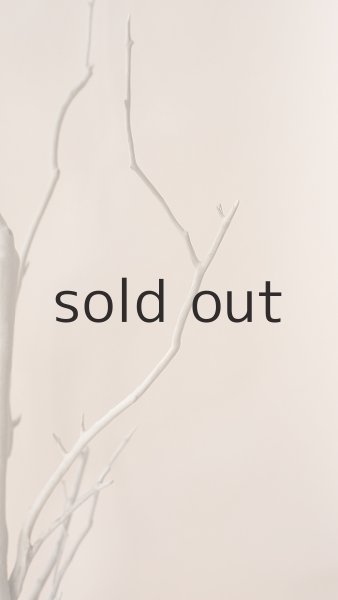 画像4: 枝流木 (4)