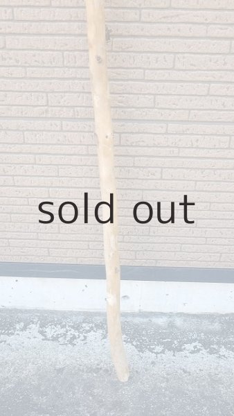 画像2: 棒流木・長尺 (2)