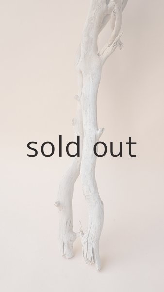 画像2: 枝流木 (2)