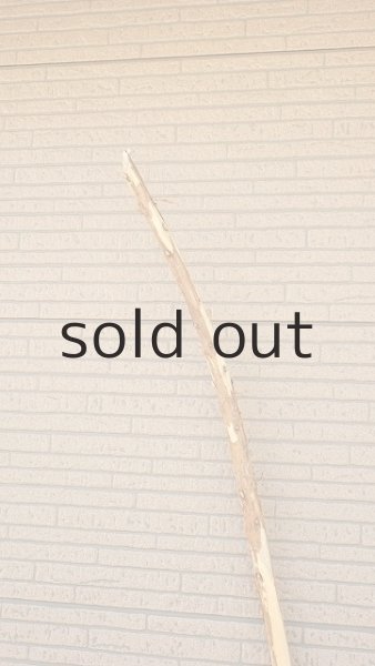 画像4: 棒流木・長尺 (4)