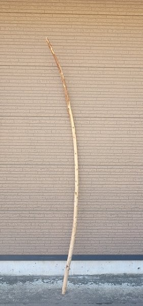 画像1: 棒流木・長尺 (1)