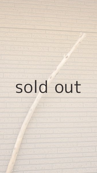 画像4: 棒流木・長尺 (4)