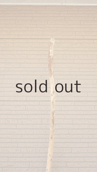 画像4: 棒流木・長尺 (4)