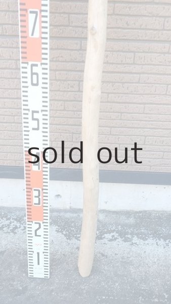 画像5: 棒流木・長尺 (5)