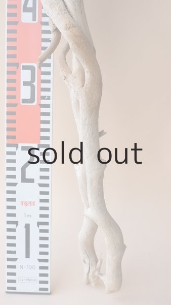 画像5: 枝流木 (5)