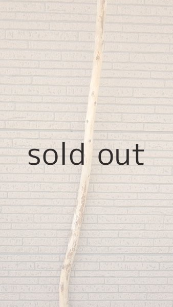 画像3: 棒流木・長尺 (3)