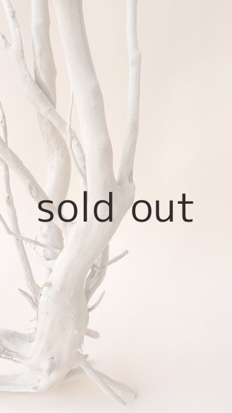 画像7: 枝流木 (7)