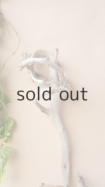 画像4: 枝流木 (4)