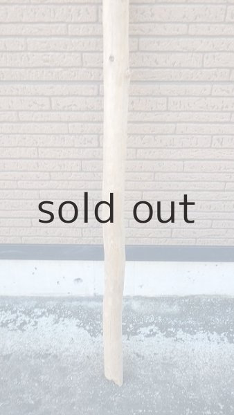 画像2: 棒流木・長尺 (2)